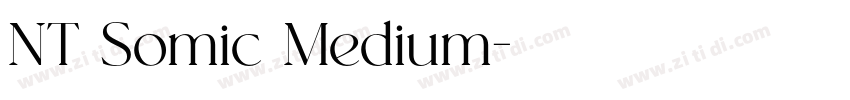 NT Somic Medium字体转换